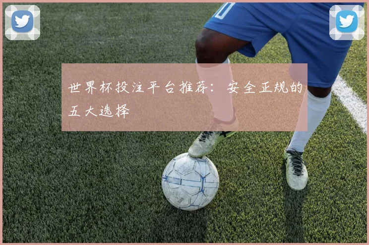 世界杯投注平台推荐:安全正规的五大选择